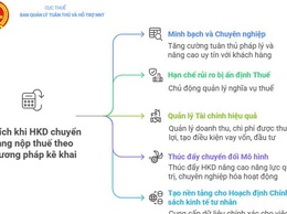Hướng dẫn hộ kinh doanh nộp thuế theo phương pháp kê khai