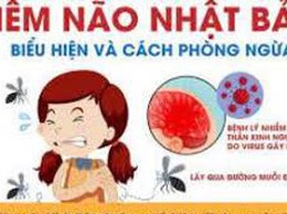 Chủ động phòng chống bệnh viêm não vi rút