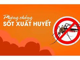 Các biện pháp phòng chống bệnh sốt xuất huyết