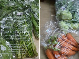 Rau củ quả Nội Bài đạt tiêu chuẩn OCOP