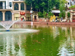 KHI TÌNH YÊU LÀNG XÓM TRỞ THÀNH HÀNH ĐỘNG - Những người giữ hồn xanh cho ao chùa Triều Khúc