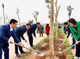 Tổ chức Tết trồng cây Xuân Bính Ngọ 2026 hiệu quả và siết chặt quản lý, bảo vệ rừng