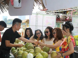 Người nông dân với hành trình nâng tầm bưởi Diễn tại HTX VietGAP Đồng Tiến