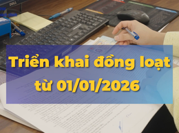 Hà Nội tái cấu trúc 293 thủ tục hành chính thiết yếu dành cho người dân, doanh nghiệp