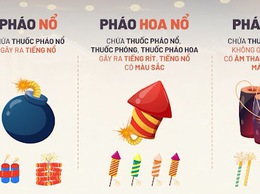 MỘT SỐ QUY ĐỊNH CỦA PHÁP LUẬT VỀ QUẢN LÝ, SỬ DỤNG PHÁO