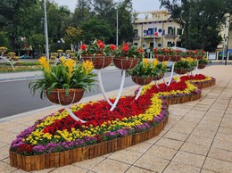 Hà Nội: Rực rỡ cây hoa và chiếu sáng phục vụ Tết Dương lịch 2026