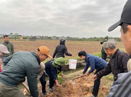 Xã Cao Sơn Tiến tổ chức hoạt động hưởng ứng phong trào “Tết trồng cây đời đời nhớ ơn Bác Hồ” xuân Ất Tỵ năm 2025.