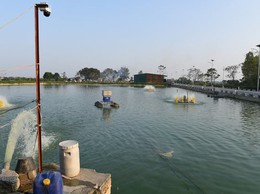HỘI NÔNG DÂN HUYỆN ỨNG HÒA ĐẨY MẠNH ỨNG DỤNG CHUYỂN ĐỔI SỐ VÀ LIÊN KẾT HỢP TÁC TRONG NUÔI TRỒNG THỦY SẢN