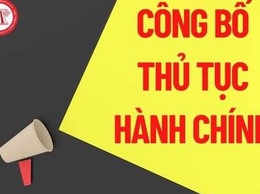 Quyết định công bố danh mục thủ tục hành chính ban hành mới trong lĩnh vực hỗ trợ tổ hợp tác, hợp tác xã, liên hiệp hợp tác xã