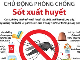 Chủ động phòng chống sốt xuất huyết