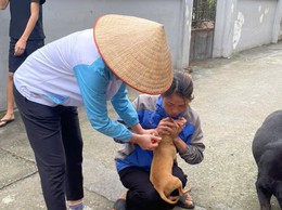 CÔNG TÁC TIÊM PHÒNG ĐẠI TRÀ ĐÀN GIA SÚC GIA CẦM VÀ ĐÀN CHÓ MÈO TRÊN ĐỊA BÀN XÃ HOA VIÊN ĐỢT 1 NĂM 2025