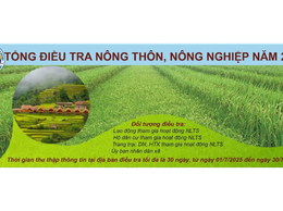 Tổng điều tra nông thôn, nông nghiệp năm 2025 thành phố Hà Nội