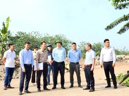 Hoài Đức quyết liệt xử lý các vi phạm về đất đai, trật tự xây dựng trong giai đoạn sắp xếp đơn vị hành chính các cấp