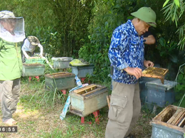 ÔNG ĐẶNG ĐÌNH PHONG LÀM GIÀU TỪ NGHỀ NUÔI ONG LẤY MẬT