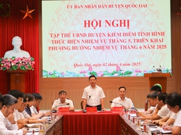 Tổng giá trị sản xuất trên địa bàn 6 tháng đầu năm trên địa bàn huyện Quốc Oai ước đạt 10.677 tỷ đồng