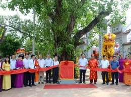Lễ công bố Quyết định Cây di sản Việt Nam và Bằng công nhận Cây Mít, Cây Đa, Cây Bồ đề tại di tích lịch sử Quốc gia Đình, Đền Đông Thiên phường Vĩnh Hưng