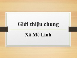 Giới thiệu chung về Xã Mê Linh, Thành phố Hà Nội