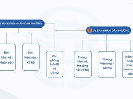 Cơ cấu tổ chức