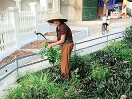 Cụ bà 83 tuổi trên 10 năm tình nguyện quét rác miễn phí; Chăm sóc vườn hoa làm đẹp xóm làng