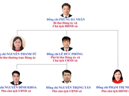 Bộ máy tổ chức xã Dương Hòa
