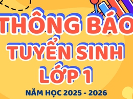 Hướng dẫn tuyển sinh đầu cấp năm học 2025 - 2026