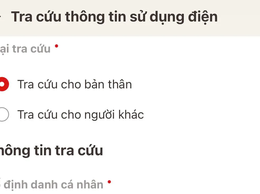 Cách tra cứu tiền điện hàng tháng trên ứng dụng VNeID