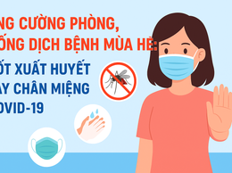 Tăng cường phòng, chống dịch bệnh mùa hè: Sốt xuất huyết, tay chân miệng và Covid-19