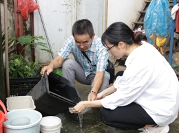 Phường Tây Hồ: Giám sát, xử lý kịp thời các ổ dịch sốt xuất huyết
