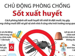 Chủ động phòng chống bệnh Sốt xuất huyết.
