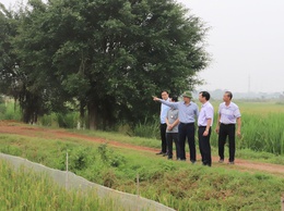 Các đồng chí lãnh đạo xã Phú Nghĩa kiểm tra thực tế tình hình sản xuất nông nghiệp, công tác vệ sinh môi trường trên địa bàn