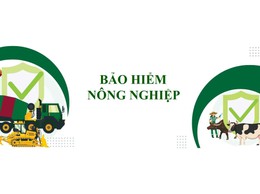 Danh mục thủ tục hành chính được sửa đổi, bổ sung trong lĩnh vực kinh doanh bảo hiểm