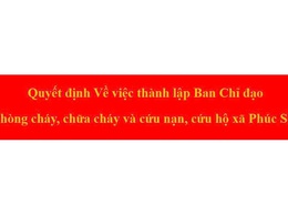 Về việc thành lập Ban Chỉ đạo Phòng cháy, chữa cháy và cứu nạn, cứu hộ xã Phúc Sơn