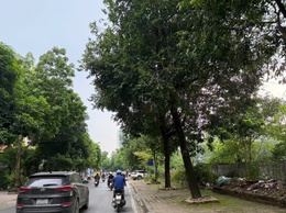 Ngày 16/7, Hà Nội sáng có nơi có mưa, trưa và chiều nóng cục bộ, đêm trời oi bức