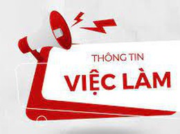 Phường Giảng Võ thông báo tuyển dụng lao động kỹ thuật Công ty TNHH Duy Thành
