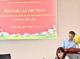 HỘI NGHỊ BAN CHẤP HÀNH ĐẢNG BỘ KHỐI DOANH NGHIỆP PHƯỜNG LÁNG LẦN THỨ NHẤT (MỞ RỘNG)