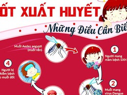 Tổng vệ sinh môi trường, diệt lăng quăng, bọ gậy chủ động phòng chống sốt xuất huyết năm 2025