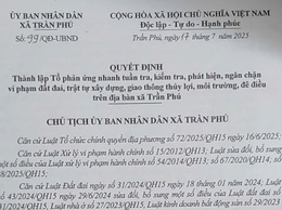 Thành lập Tổ phản ứng nhanh tuần tra, kiểm tra, phát hiện, ngặn chặn vi phạm đất đai, trật tự xây dựng, giao thông thuỷ lợi, môi trường, đê điều trên địa bàn