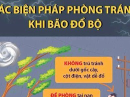 CÁC BIỆN PHÁP PHÒNG TRÁNH KHI BÃO ĐỔ BỘ