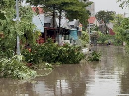 Thành phố Hà Nội ngày có mưa vài nơi, chiều tối có mưa rào và dông