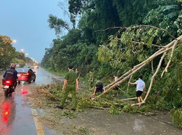 Tăng cường công tác phòng, chống bão Wipha