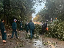 Hòa Lạc kích hoạt phương châm “4 tại chỗ” ứng phó bão số 3