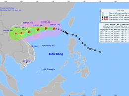 Bão số 3 (bão WIPHA) rất mạnh, di chuyển nhanh phạm vi, cường độ ảnh hưởng rất rộng và nguy hiểm