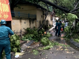Phường Thanh Xuân khẩn trương khắc phục hậu quả giông lốc, đảm bảo an sinh cho người dân