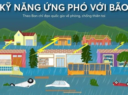 Kỹ năng phòng chống, ứng phó trước, trong và sau bão