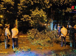 Lãnh đạo xã Kiều Phú kiểm tra xử lý nhiều cây xanh bị đổ, gãy do ảnh hưởng của trận Giông, lốc trên địa bàn xã
