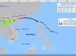 TIN BÃO KHẨN CẤP (Cập nhật ngày 21/7/2025)