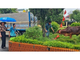 02 hộ nông dân xã Thanh Oai được hỗ trợ bò giống sinh sản