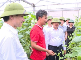 Các đồng chí lãnh đạo xã Phúc Thọ khảo sát thực tế một số mô hình sản xuất nông nghiệp chất lượng cao trên địa bàn