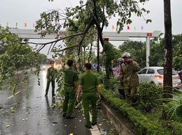 Xã Đan Phượng: khắc phục kịp thời các sự cố do dông lốc