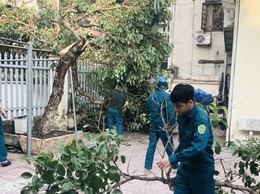Phường Thanh Xuân chủ động ứng phó với bão số 3
